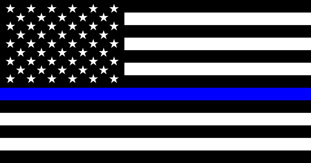 Black Lives Matter Countermovement and Criticisms