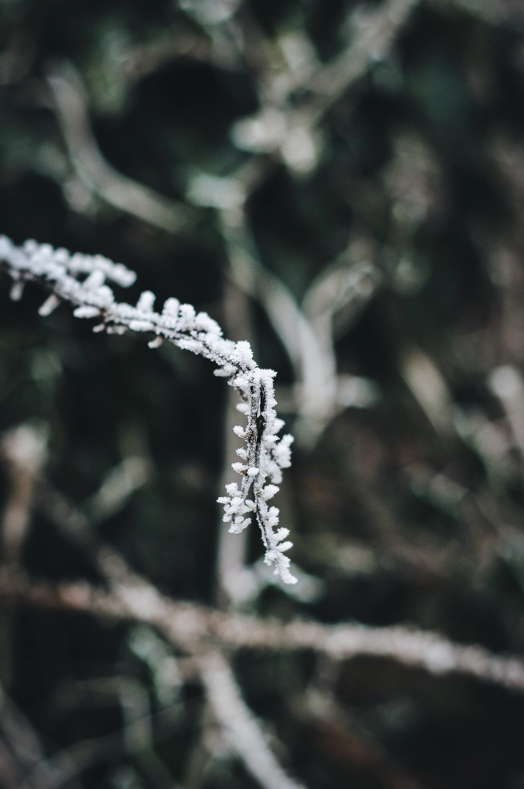 What is Seasonal Depression?