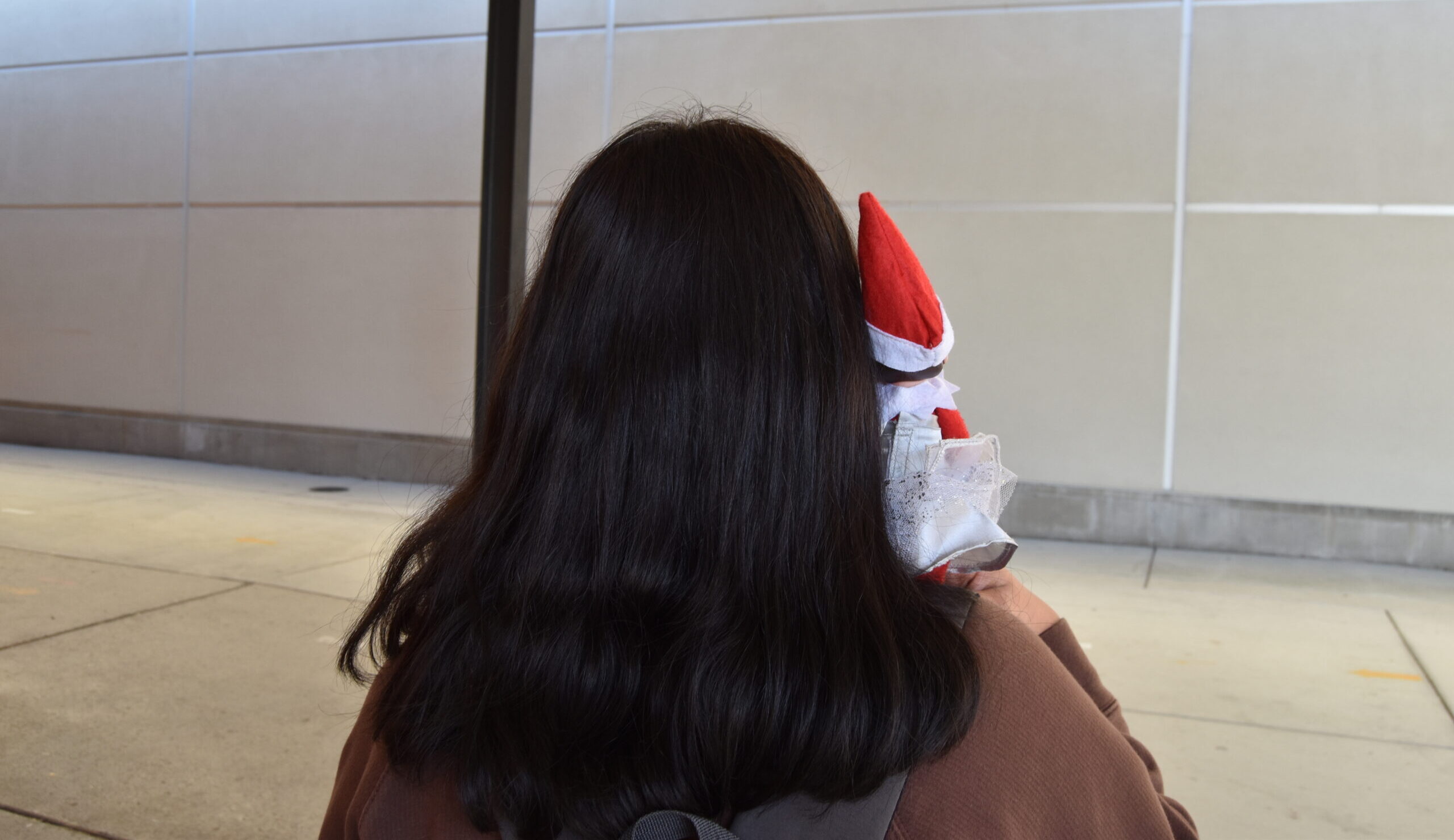 The Elf on the School Shelf