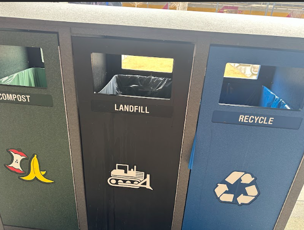 How Should Students Combat Food Waste?
