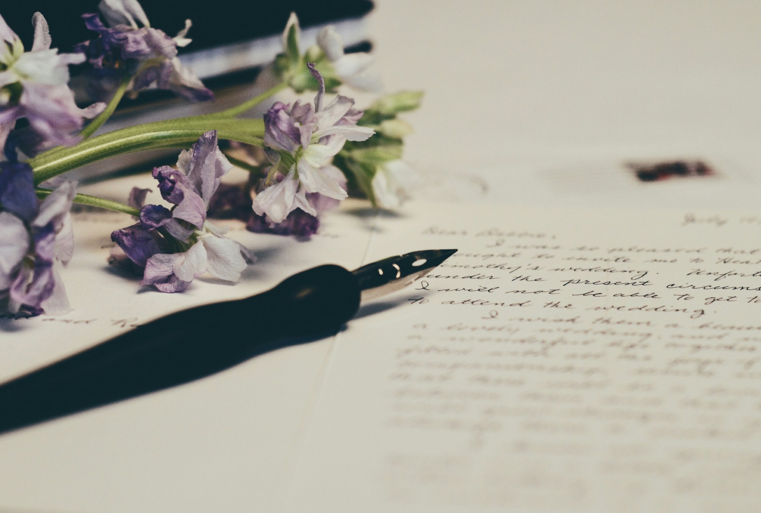 Letter From The Editors January 2025