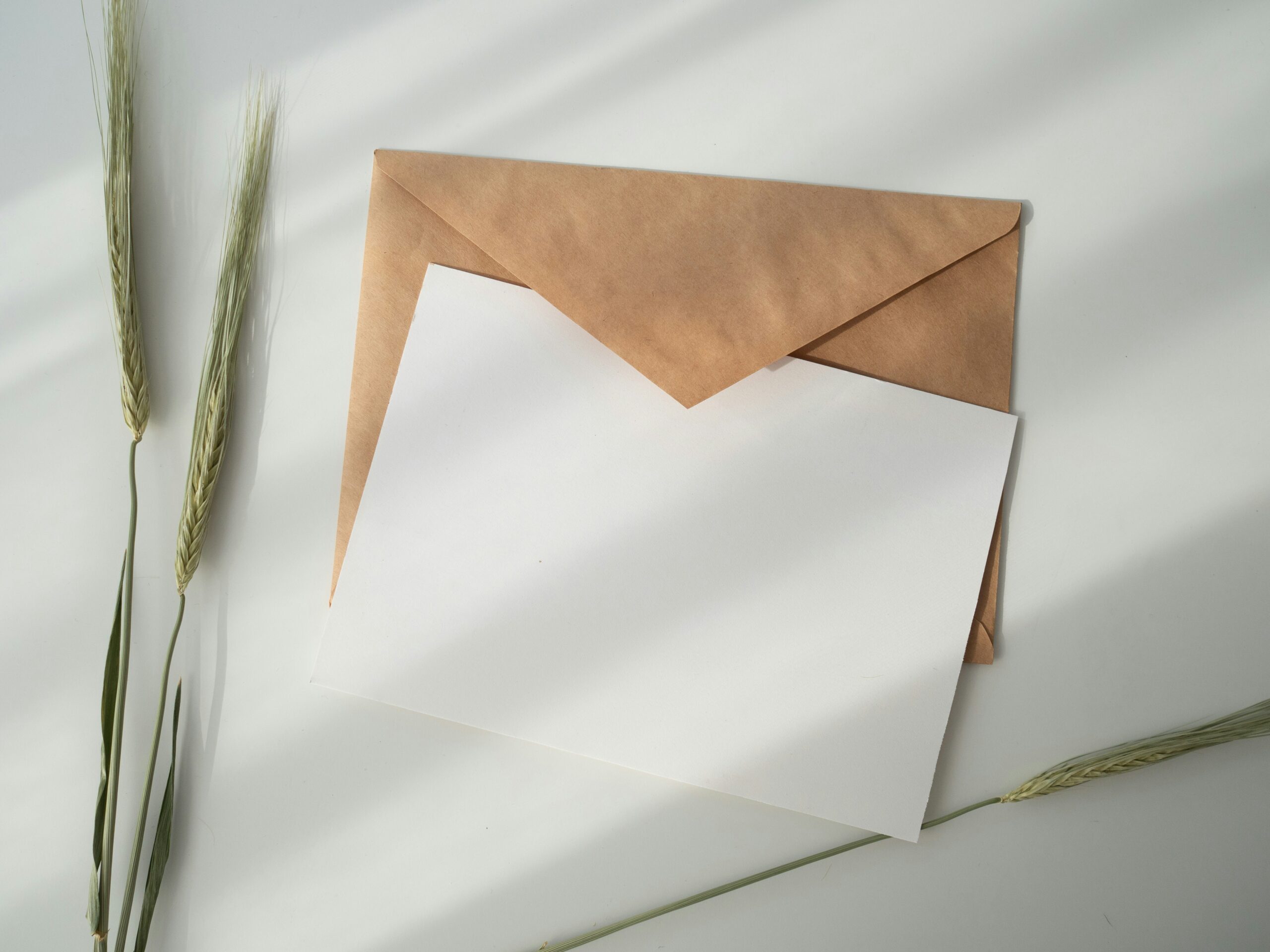 Letter from the Editors April 2025